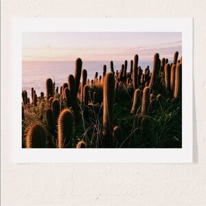 Victoria Aguirre Cactus Sunset Art Print